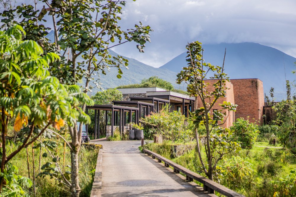  Gorilla Lodge